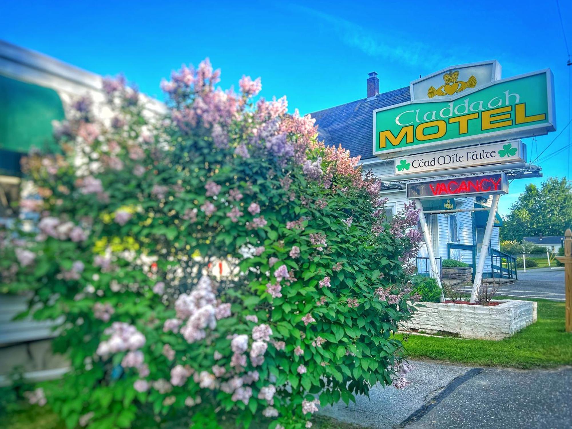 Claddagh Motel & Suites Rockport Exterior foto